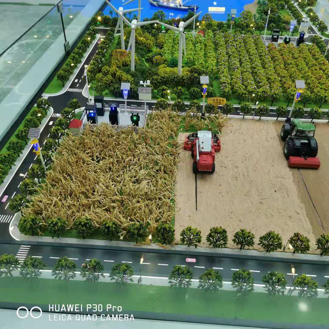 污污污污污免费网站薰衣草